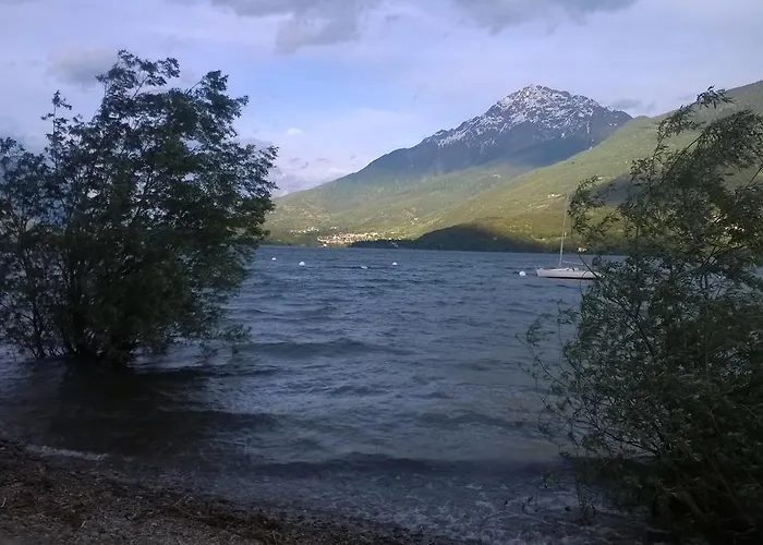 Zia Maria 3*